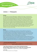 Infotafel Station 6