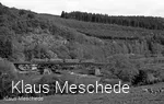 Ein Triebwagen-Sonderzug auf der Fischbauchträgerbrücke am 2. Juni 1984