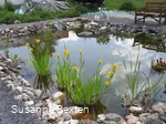 Heilpflanzengarten
