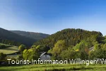 Herbstlandschaft in Willingen-Schwalefeld