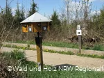 Waldweg Grenzenlos1.jpg