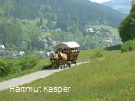 Kutschfart_Landschaft.jpg