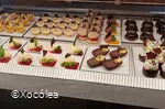Xocolea1.jpg