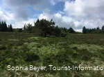 Landschaft am Wanderweg W6 