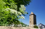 Limpsturm