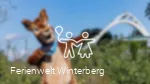 Symbolbild Freizeitangebote.png