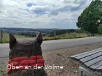 Aussicht Sagenort
