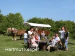 Kutschen-Pause.jpg