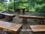 Das Klassenzimmer mitten im Wald