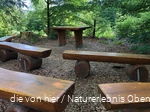 Das Klassenzimmer mitten im Wald