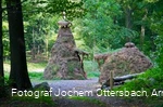 Kohlemeiler