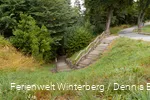 DSC04710.jpg