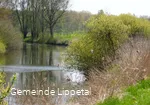 "Altarm" der Lippe