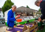 xx210721dsWochenmarktBelecke-2.jpg