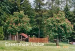 Arboretum Essenthoer Mühle