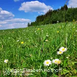 Landschaftsimpressionen oberhalb A1.jpg