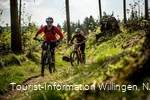 2 Mountainbiker fahren am Wald entlang