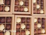 Xocolea3.jpg