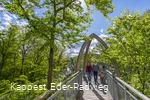 Familienglück am Edersee... Auf dem Baumkronenweg Edersee