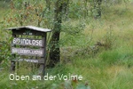 Das Quellgebiet