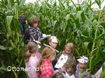 Ottonenhof Maislabyrinth