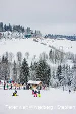 Winterberg Image Video Schlitten Skischule Baumschlagen Schneeschuh_stephanpetersdesign.de-34.jpg