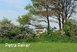 Motte in Neuenrade-Küntrop