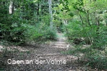 Hohlweg Haumche im Stadtgebiet von Meinerzhagen