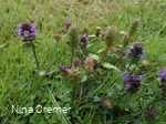 Nina Cremer_5.jpg