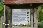Arboretum Essentho