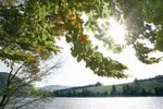 Naturschutzgebiet Diemelsee