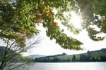 Naturschutzgebiet Diemelsee