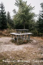 Eine Sitzgelegenheit mit einem Tisch und einer durchgehenden Bank rundherum auf einer Wiese mit Wald im Hintergrund.