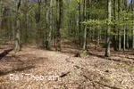 Natur pur im Naturschutzgebiet