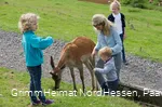 Wildpark Frankenberg (Eder)