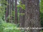 Sauerland-Seelenort Himmelssäulen