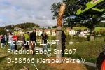Scheuerpfahl Wurzeln