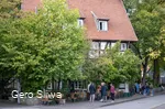 20240927_Zwiebel2.jpg