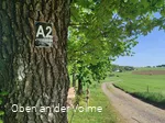 Der Wanderweg A2 führt zum Rastplatz