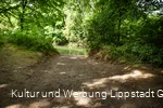 Kanueinstieg Rebbeke Zur Neuen Brücke (c) KWL Kultur und Werbung Lippstadt GmbH Pro-t-in Gm.jpg