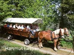 Kutsche seitlich.jpg