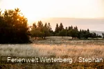 Content_Creator_House_Winterberg_2022_Tag_1_stephanpetersdesign.de-25.jpg