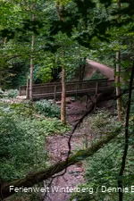 DSC04717.jpg