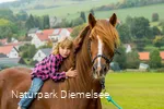 Mädchen auf einem Pferd auf dem Familienbauernhof Fass