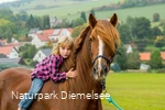 Mädchen auf einem Pferd auf dem Familienbauernhof Fass