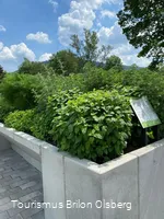 Kräutergarten