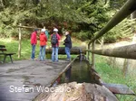 segwaytour-willingen-diemelquelle-2.jpg