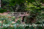 DSC04719.jpg