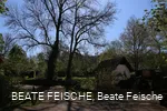 Mühle gesamt