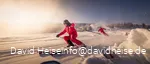 SkischuleWilddieb_01.jpg